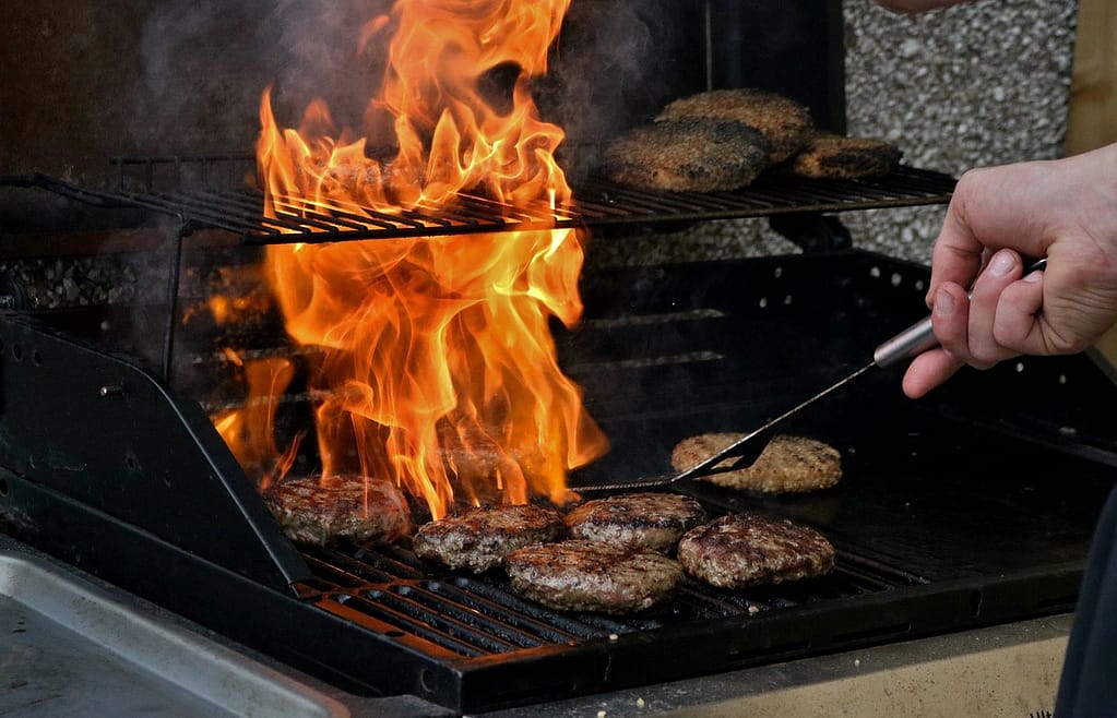 bbq, cook, fire-2341356.jpg