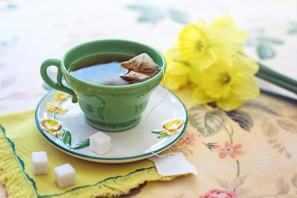 12 Ways To Boost The Immune System