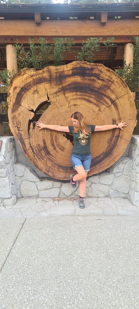 yosemitenationalpark; sequoia, nature, travel
