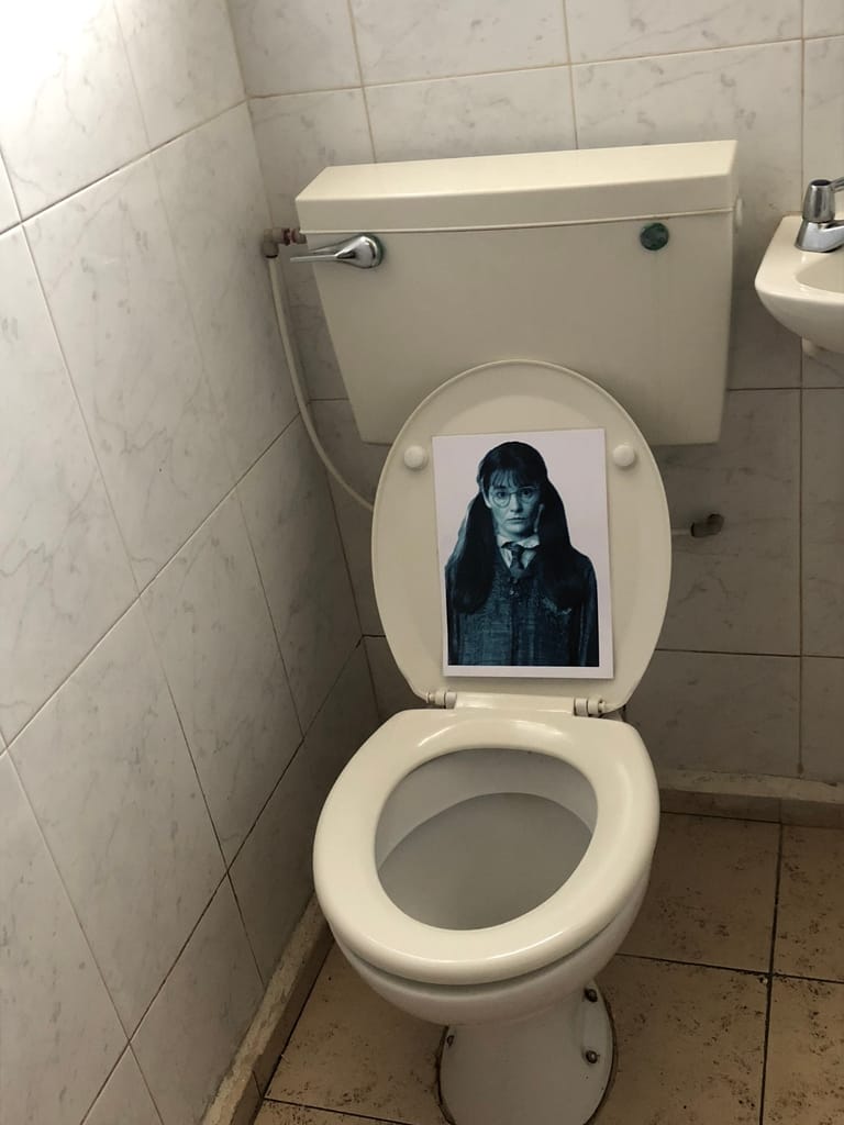 Planning a Harry Potter Party