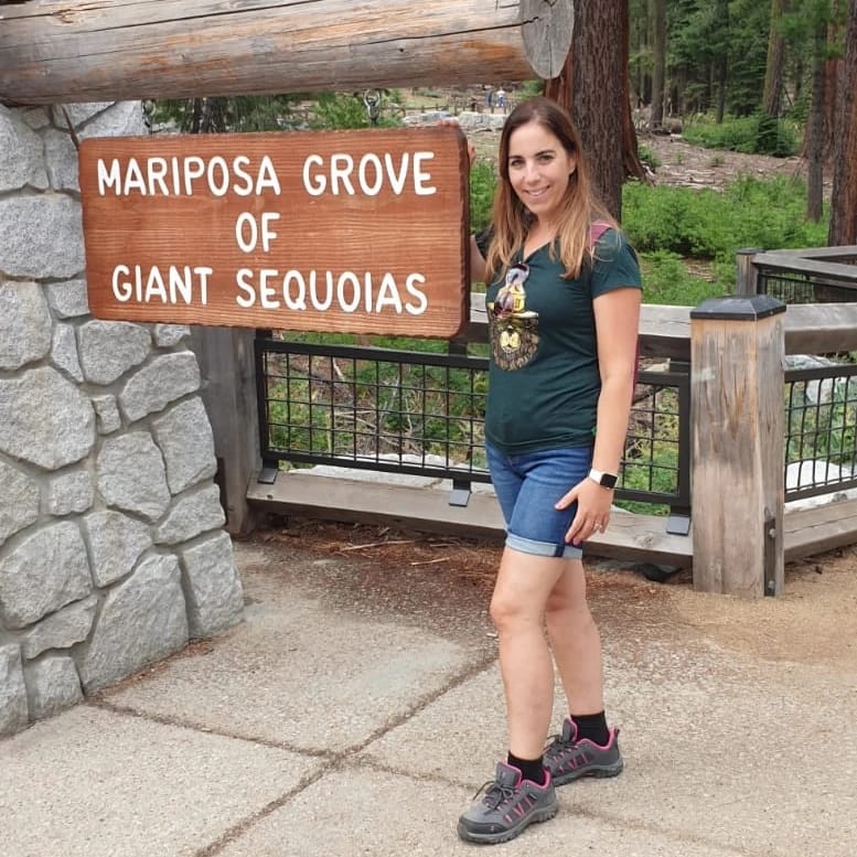 yosemitenationalpark; trees; sequoias, nature, travel