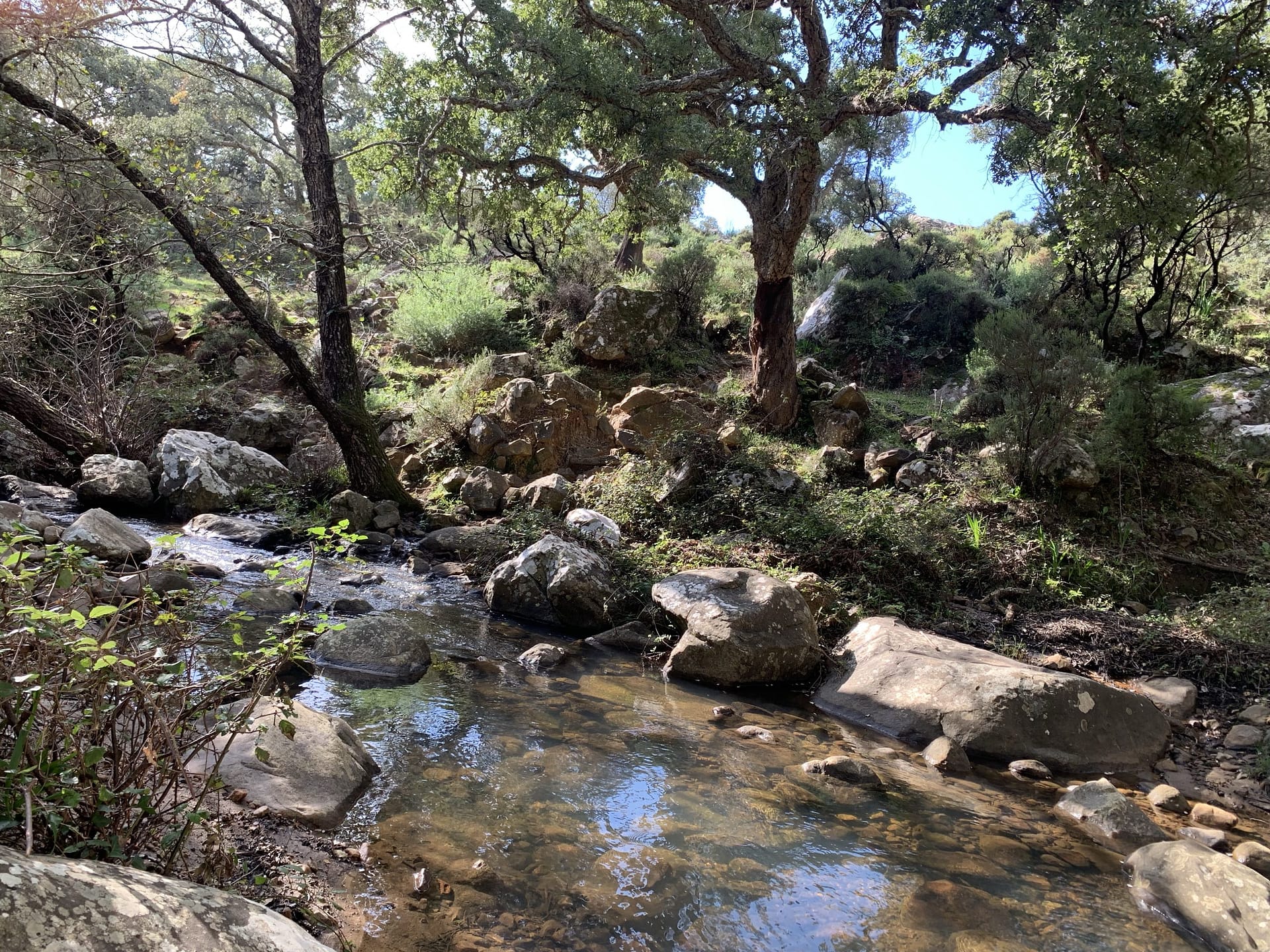 the-health-benefits-of-nature-walks-the-opinionated-magpies